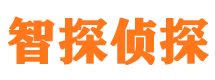 剑河外遇调查取证